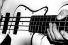 Reggae Bass Players